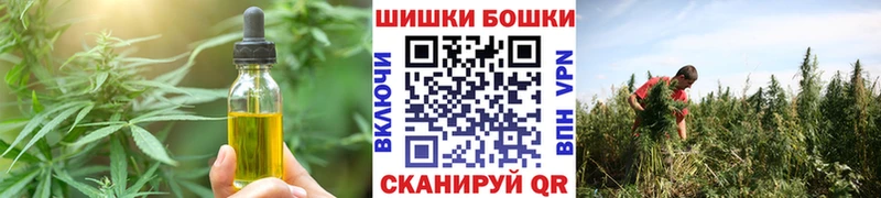 купить закладку  Копейск  Cannafood конопля 
