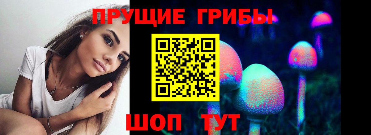Копейск  Галлюциногенные грибы Cubensis  Вход с VPN 